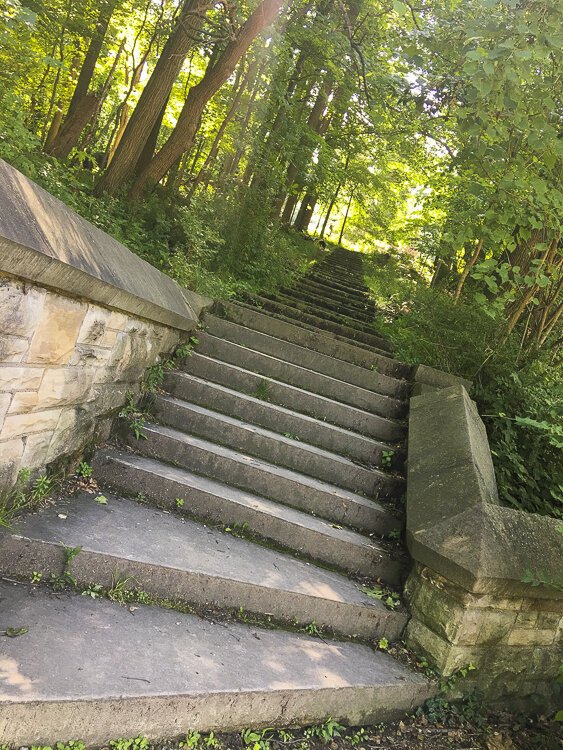 一条石头楼梯通向公园内部。
