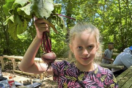 7月4日假期前，来自“拯救儿童伊利里亚”组织的50名学生来到Spice Acres参观农场，并从学习花园收获农产品。
