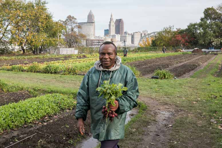 俄亥俄城农场的难民赋权农业项目的工人。
