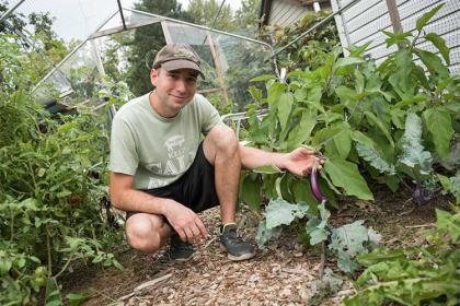 罗纳德·卡斯帕在果园种植茄子