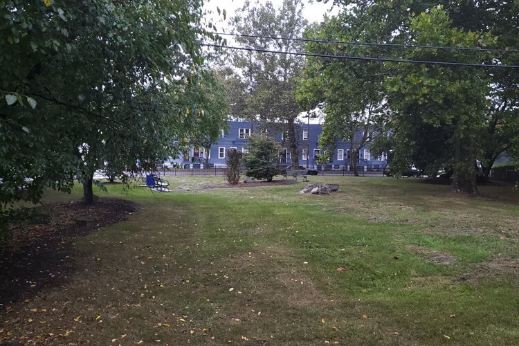 贝西·哈里斯家旁边的公园:费尔法克斯的另一个恢复活力的绿色空间